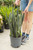 10" Sansevieria Silver Flame