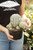 6" Euphorbia Polygona Snowflake