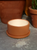7" Dish Garden w/Saucer in Papaya