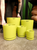 4.5" Citrus Pot w/Saucer in Lime