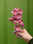 25" Orchid Spray in Magenta (Faux)