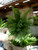 46" Leather Fern Bush (Faux)