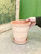 6.3" Bergs Pantheon Pot w/Saucer in Rosa