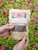 Delicate Flower Dahlia Farm Totally Tangerine Dahlia Tuber
