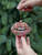 4" Sprinkle Covered Lips Ornament
