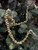 4' Jingle Garland in Gold