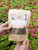 Delicate Dahlia Flower Farm Castle Drive Tuber