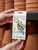 4-Stake Indoor Plant Watering System