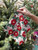 Geometry Winter Camellia Dishcloth Set