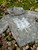 Tonkadale Winter Sweatshirt 2026