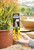 Compact Pruner in Yellow