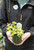 Lamium Aureum - PT