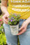 Ageratum 4 in