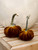 Velvet Pumpkin in Bronze
