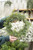 6.5" Seeding Juniper Wreath (Faux)