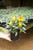 Ornamental Pepper 5 in