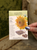 Organic Sunflower Mongolian Giant Seeds