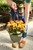 Begonia Hiemalis (Rieger) - Hanging Basket 11 in