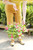 Vinca Flower - Hanging Basket 11 in