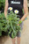 Leucanthemum Alaska (W) - 1 gal
