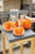 Velvet Pumpkin in Salmon