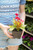 Celosia 4 in