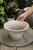 11.8" Bergs Daisy Pot w/Saucer in Raw Grey