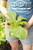 Nicotiana Sylvestris 4 in