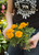 Marigold - 4 pack