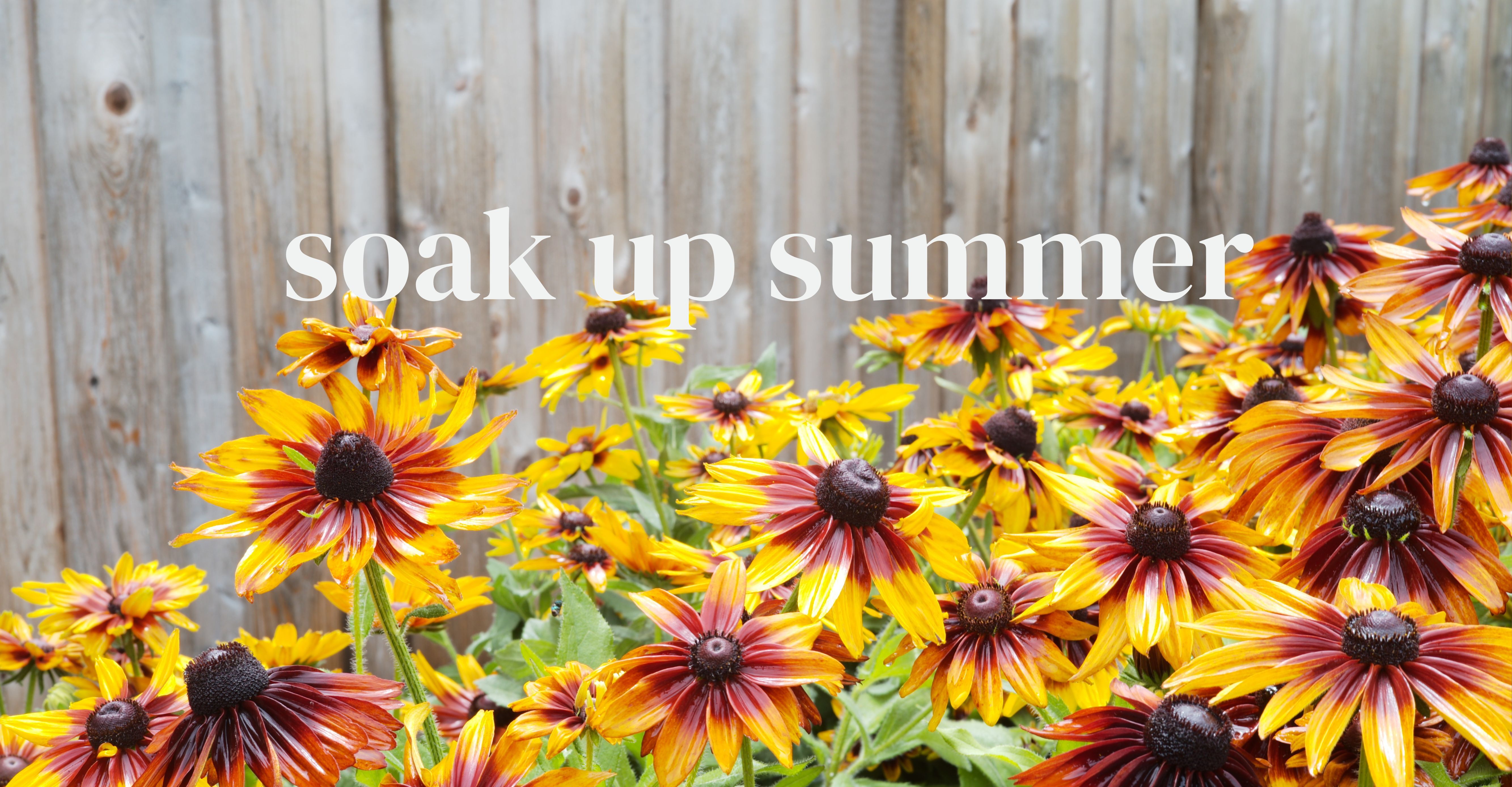 Tonkadale Greenhouse | Minnetonka's favorite family-owned garden center