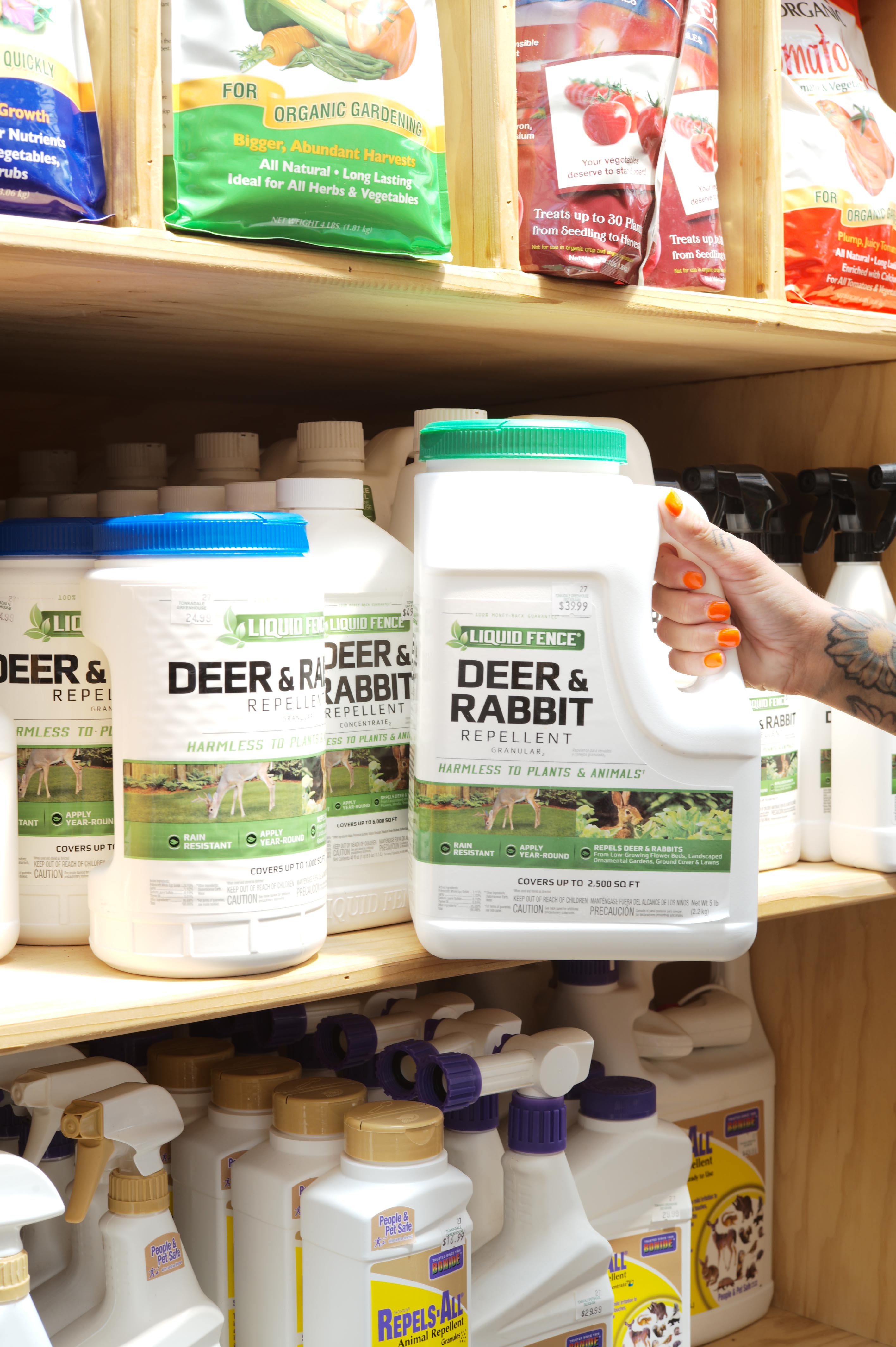 How to Repel Deer and Rabbits in the Garden Tonkadale