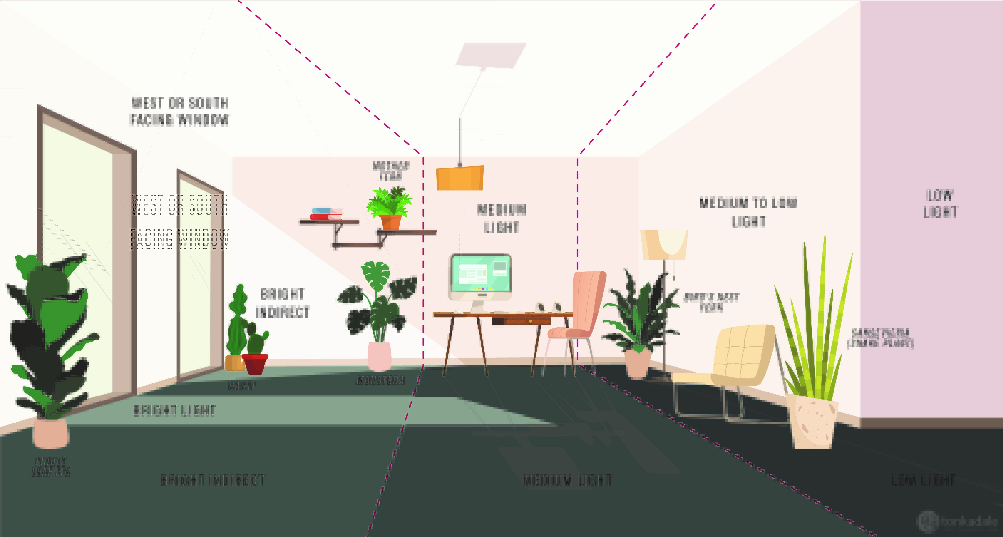 pics Plant Light Room Diagram houseplants light up their lives