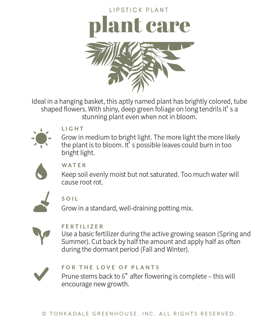 Lipstick Black Pagoda