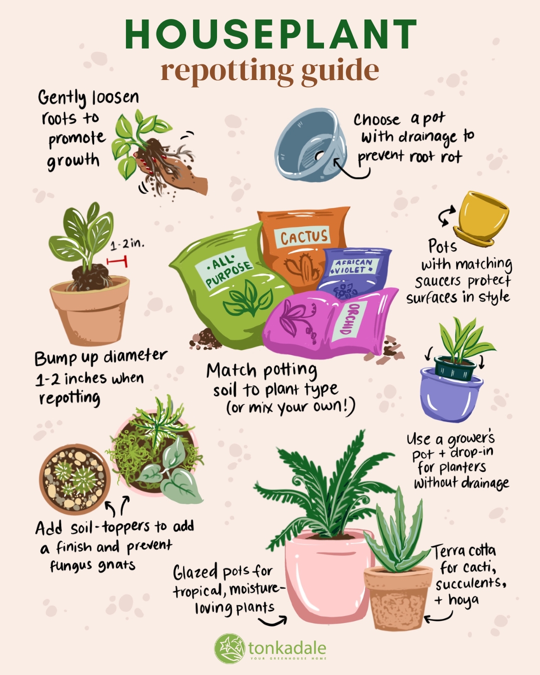 Infographics Tonkadale