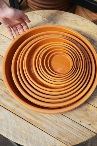 L1006063__38102.1711979679.386