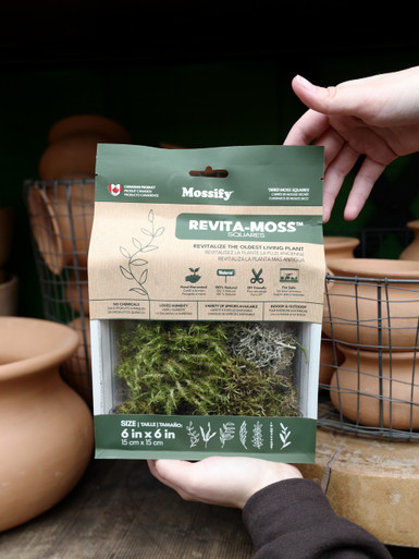 Mossify Moss Mix Pack - Tonkadale