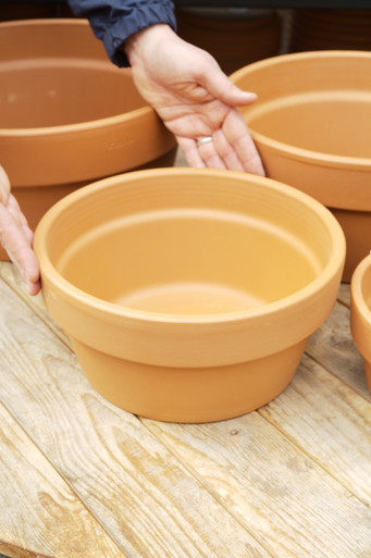 10.5" Italian Bulb Pan - Tonkadale