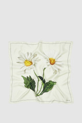 Front product shot of the Oroton Botanical Daisy Scarf in Cream and 100% silk twill fabric for Women .