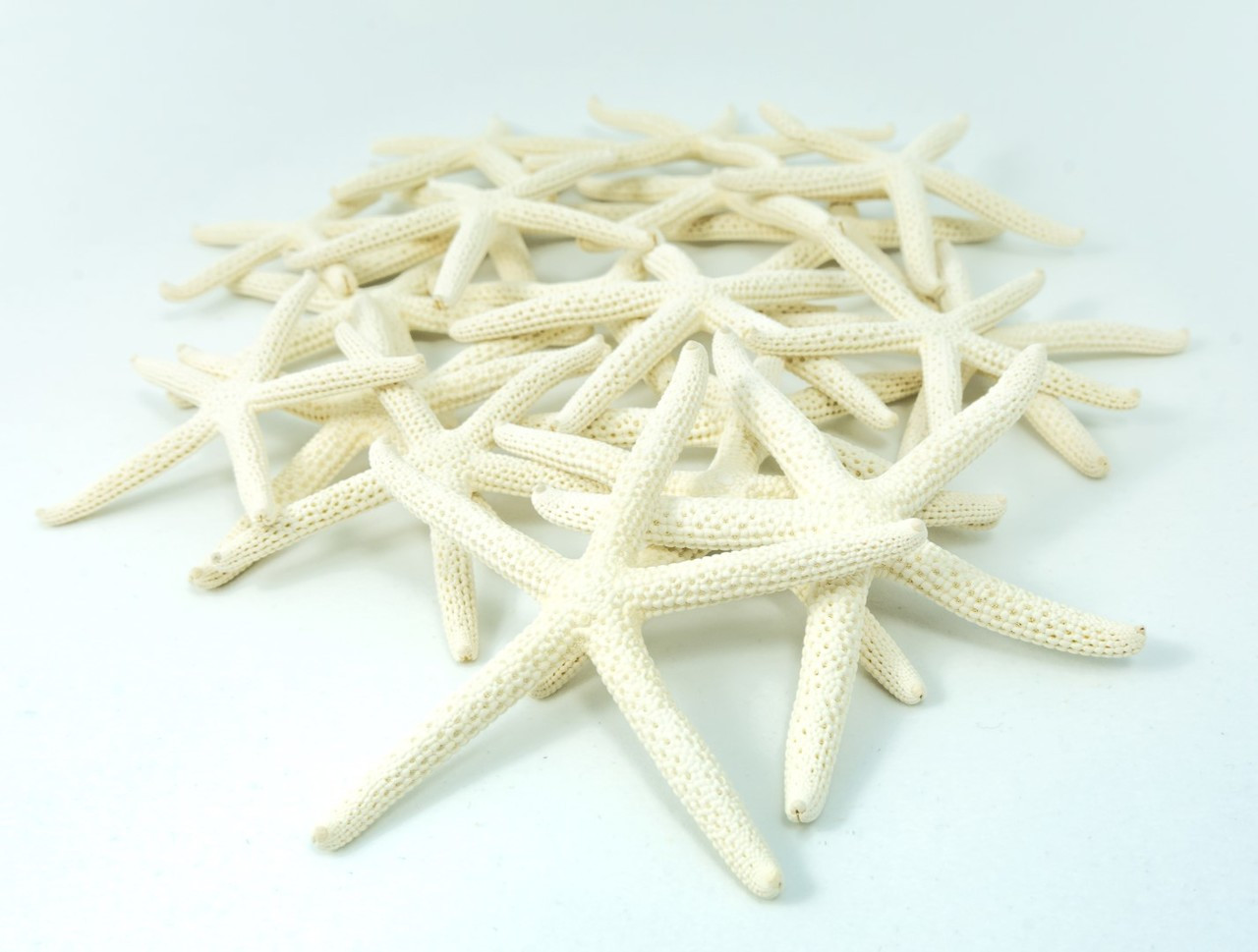 Starfish 6 White Finger Starfish 3 to 4 Starfish for Crafts and Decor