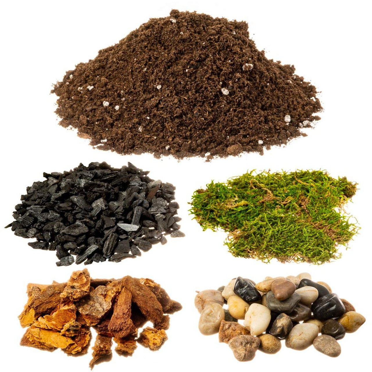 DIY Terrarium Succulent Planter Kit  Includes Hoffman Organic Cactus and  Succulent Soil Mix, Orchid Bark, Decorative Rocks, Moss, and  Professional-Grade Charcoal