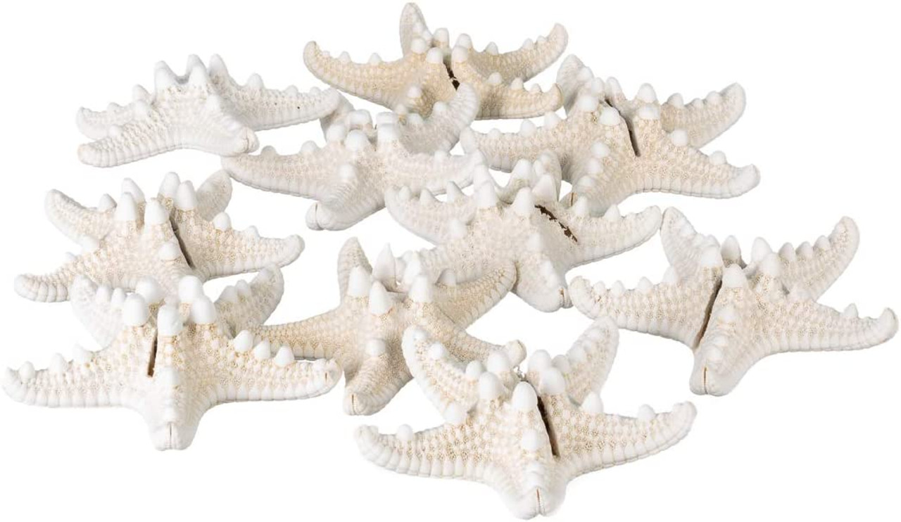 Worlds White Starfish Finger Sea Shells for Home Decorations, Party  Wedding, DIY Crafts 10PC Approx:4-5 Inch