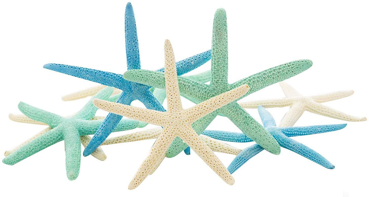 Starfish 10 Pack Green Blue & White Assorted Star Fish 2-4 Inch