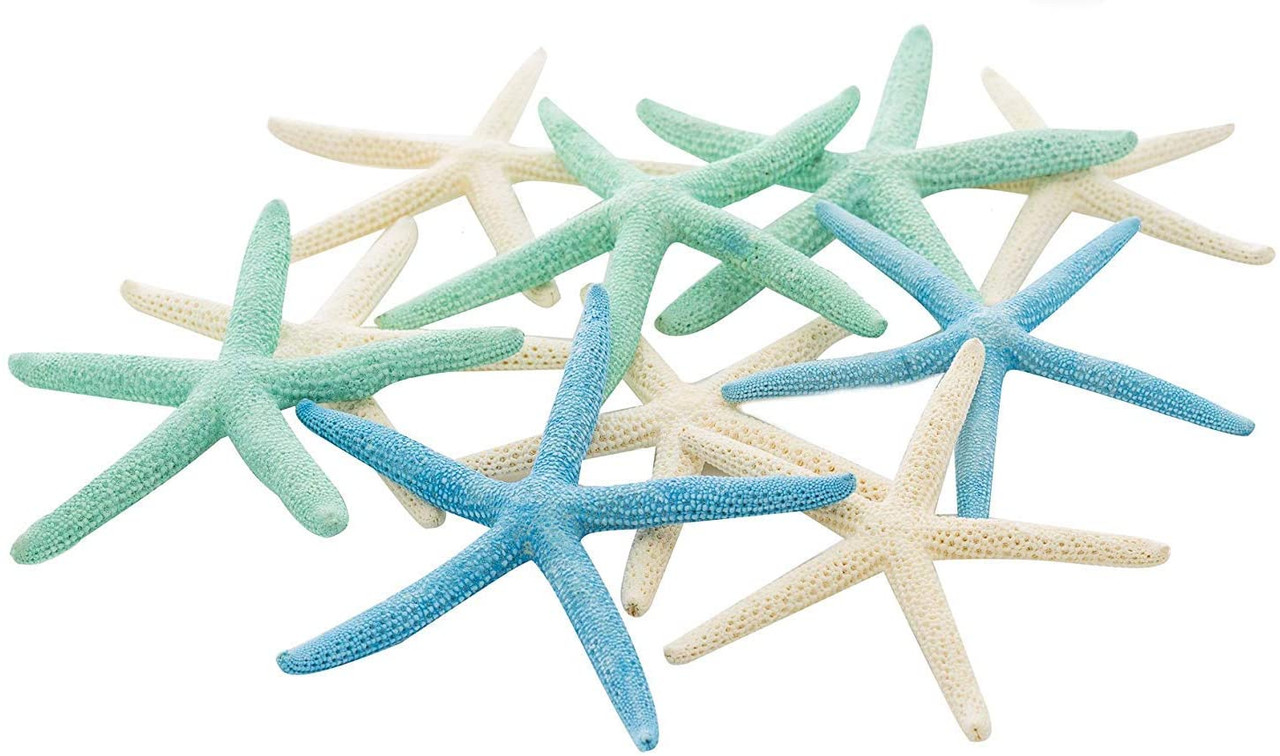 Starfish 10 Pack Green Blue & White Assorted Star Fish 2-4 Inch Starfish  for Crafts and Decor - Nautical Crush Trading