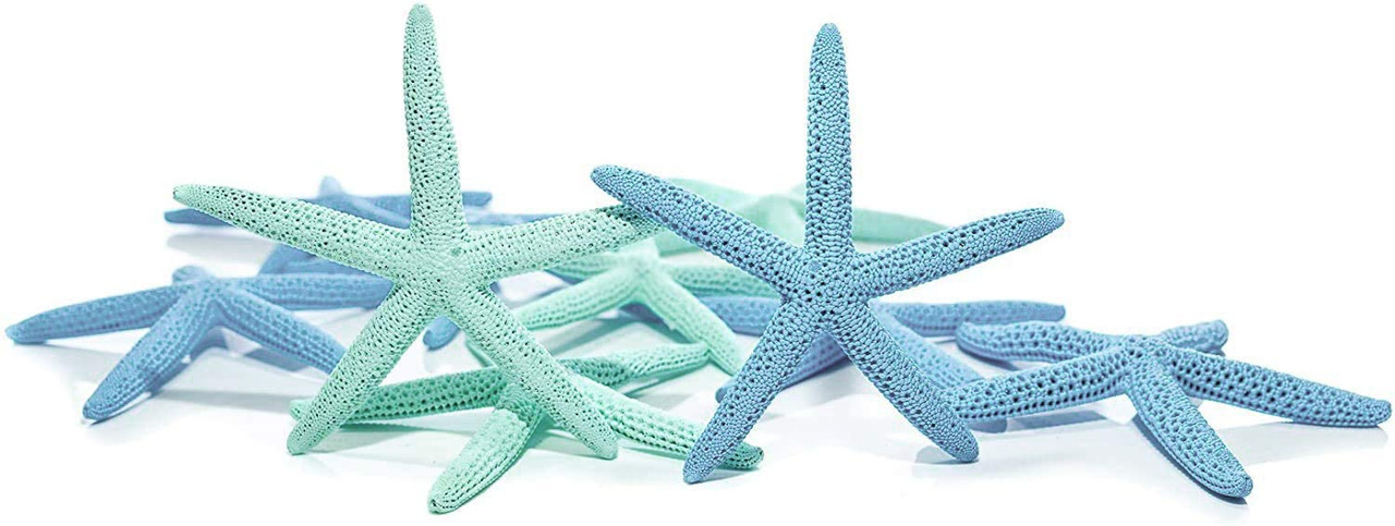 XIUSHUI 16Pcs White Blue Starfish for Crafts Resin, Pencil Finger Starfish  Decor, Flatback Starfish Ornaments for Wedding Decor Beach Theme Party