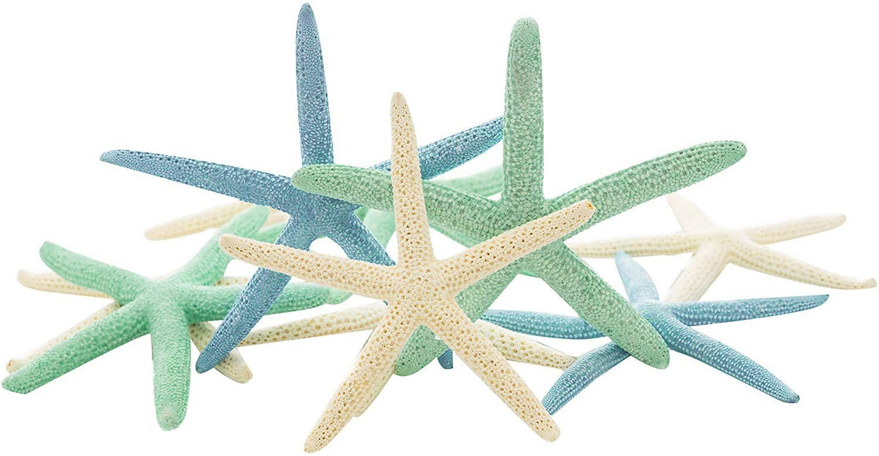 Starfish 10 Blue Green & White Finger Star Fish 4-6 Inch Starfish for  Crafts and Decor