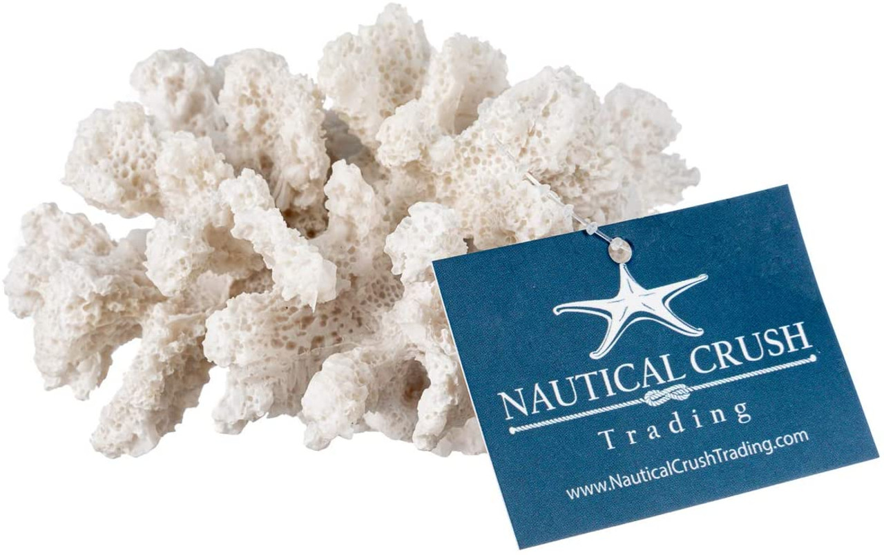 Nautical Crush Trading White Coral Décor - Beach Home Décor - Faux Coral  Reef Décor 6.5” x 5”