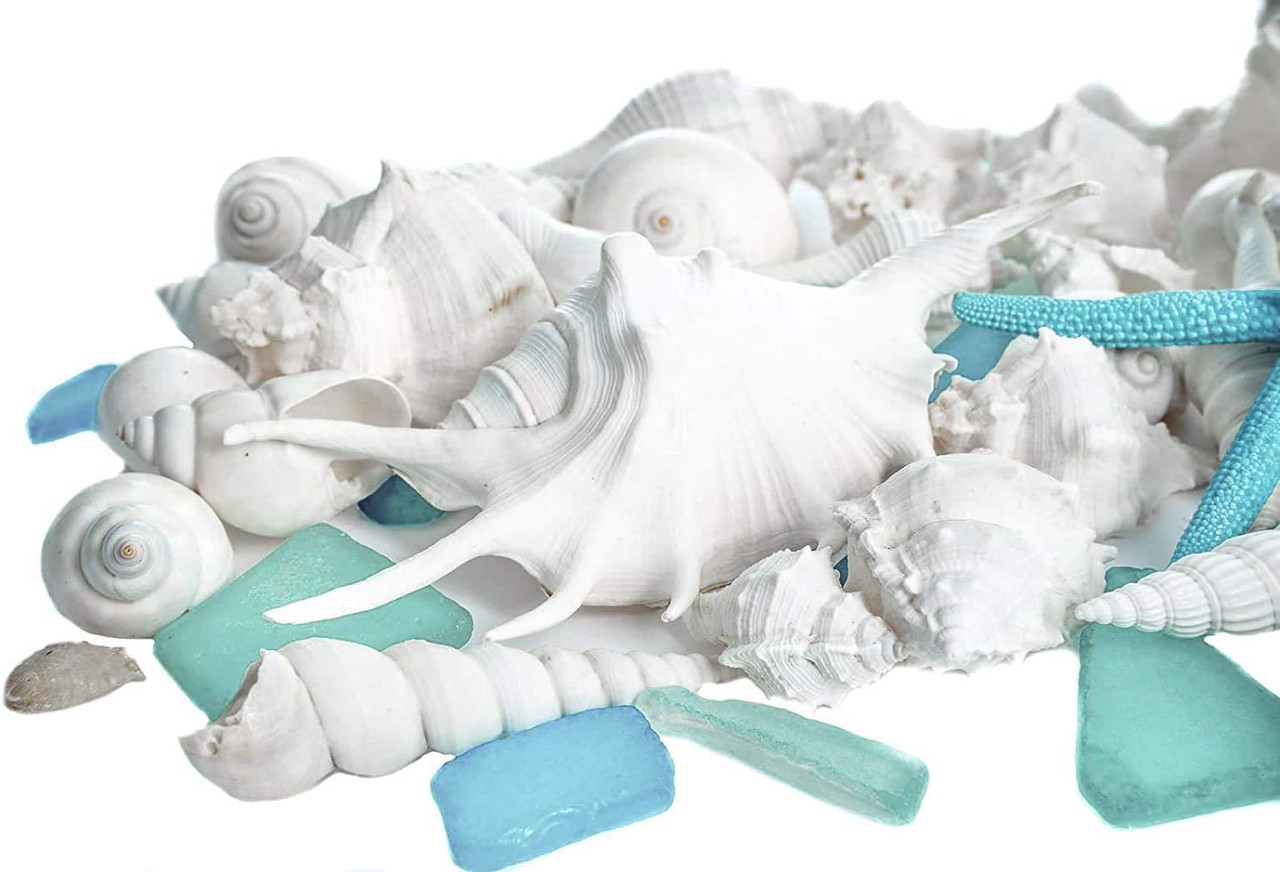 Seashell Mix 2 Pack each 1 Pound of Real Beach Seashells w/ Real Starfish &  Caribbean Blue Sea Glass for Crafts and Decor