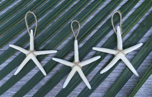 Starfish Ornament with Jute 4"  -Set of 3