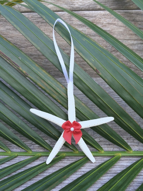 Starfish Ornament with Red Bow and Pearl Accent- Natural 3-4"  (Set of 3)