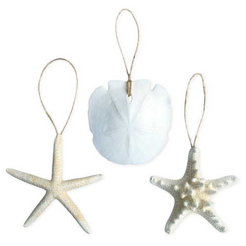 Starfish and Sand Dollar Ornament Set 4"-5" - 3 Piece Set